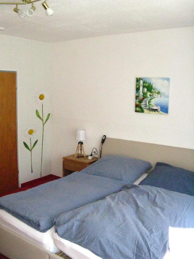 אלטנאו Bio-Hotel Zum Forsthaus מראה חיצוני תמונה