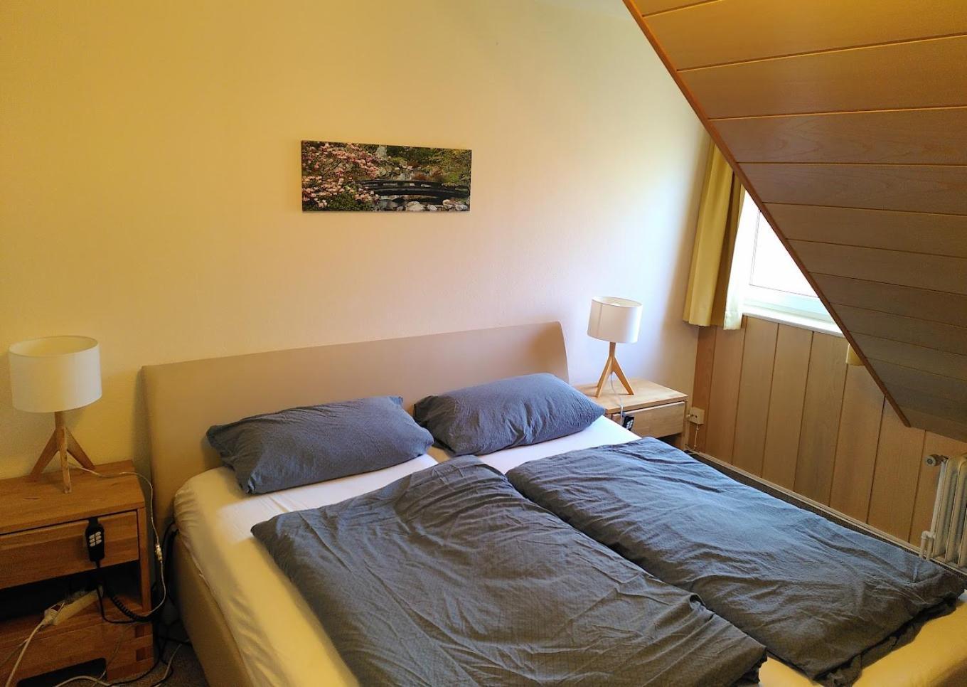 אלטנאו Bio-Hotel Zum Forsthaus מראה חיצוני תמונה