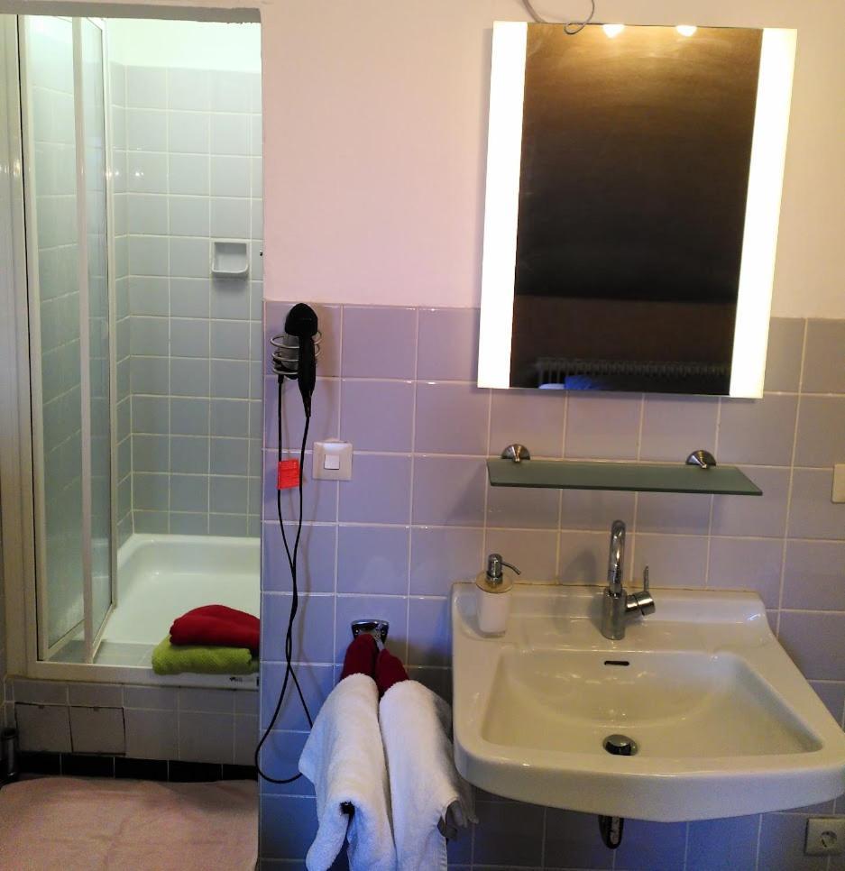 אלטנאו Bio-Hotel Zum Forsthaus מראה חיצוני תמונה