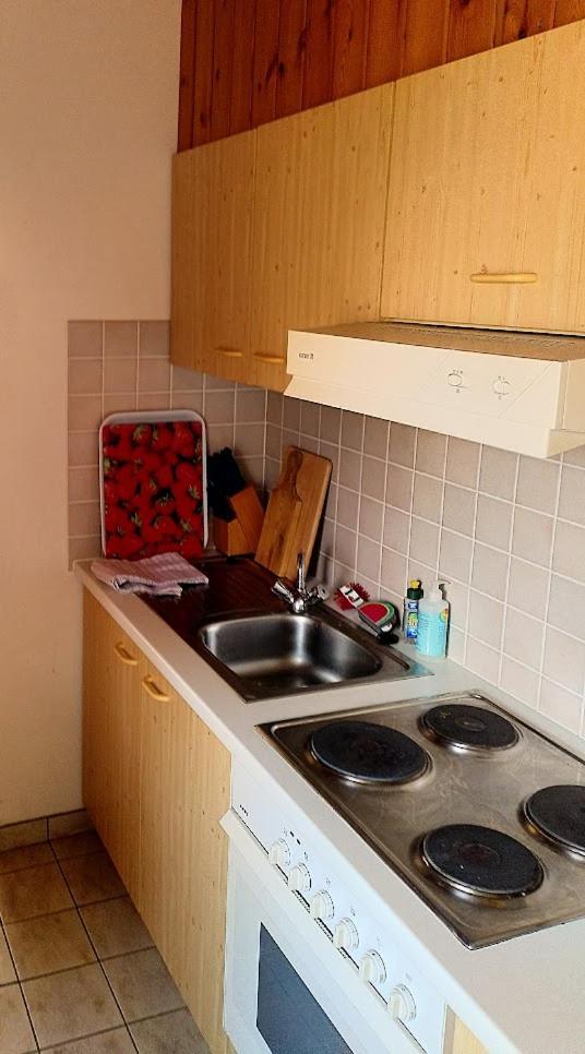 אלטנאו Bio-Hotel Zum Forsthaus מראה חיצוני תמונה